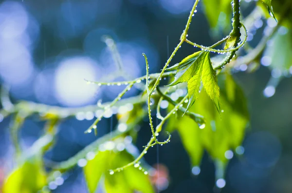 Rainy Day Abstract In Blue Key — Stock Photo, Image