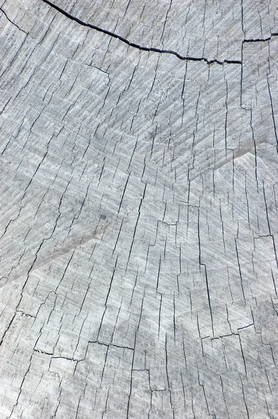 Великий природний метеоритне сіре дерево Вирізати текстуру фону — стокове фото