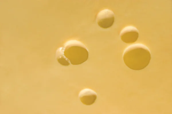 Fondo de queso, macro primer plano — Foto de Stock