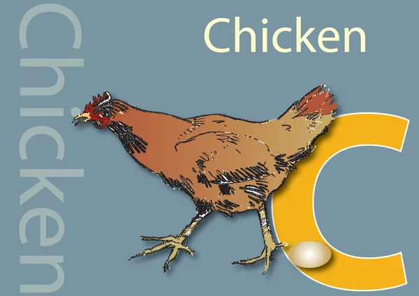 C a csirke — Stock Fotó