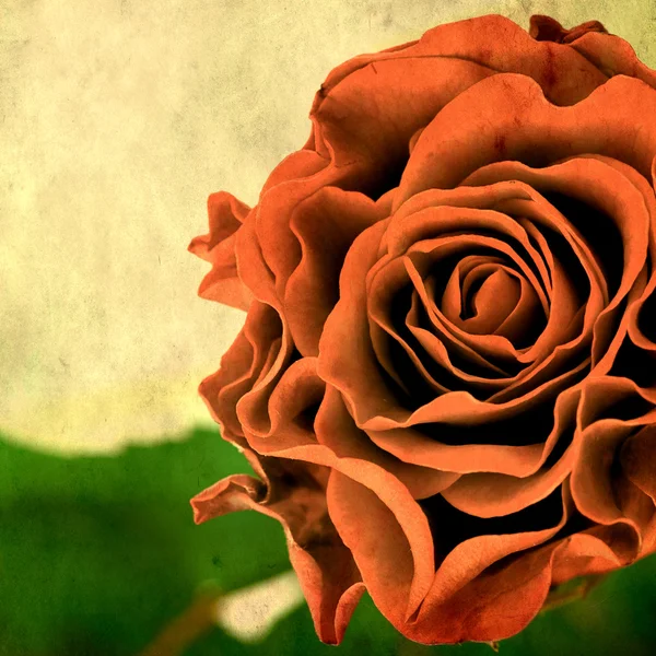 Retro style background with rose — Stock Photo, Image