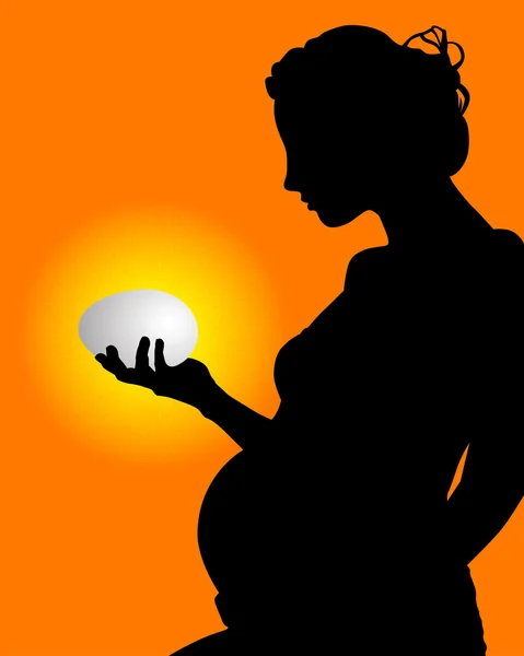 Pregnant woman with an egg in his hand — Stock Vector