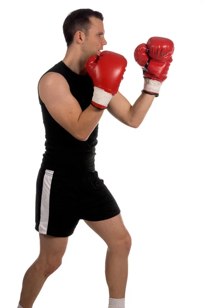 拳击手 — 图库照片