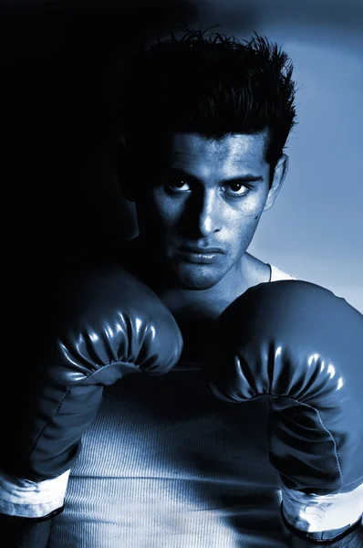 Boxer sépia — Fotografia de Stock