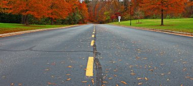 Road leading through the woods clipart