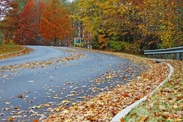 Stock image Roadway to the top