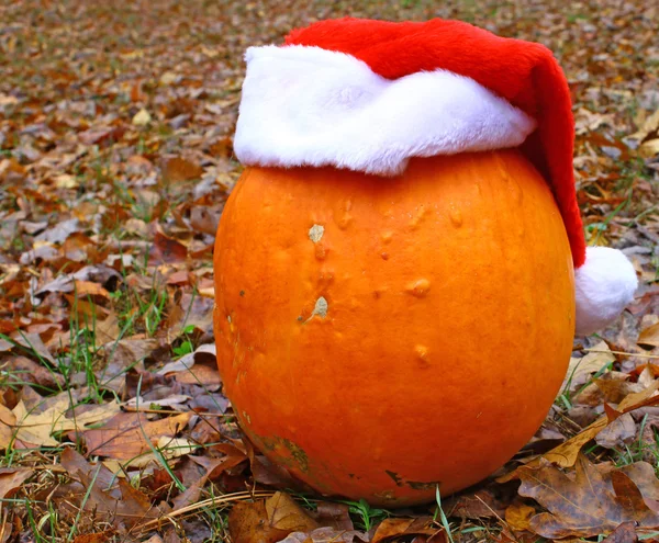 A pumpkin — Stock Photo, Image