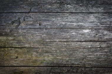 Fine texture of grunge old wood background clipart