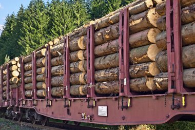 Transporting wooden logs clipart