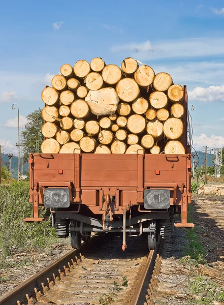 Stock image Transporting wooden logs