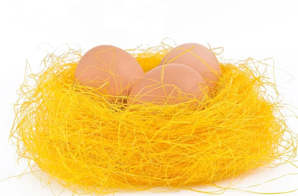 Huevos frescos en el nido — Foto de Stock