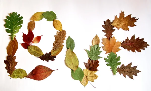 Colagem de amor de outono de folhas — Fotografia de Stock
