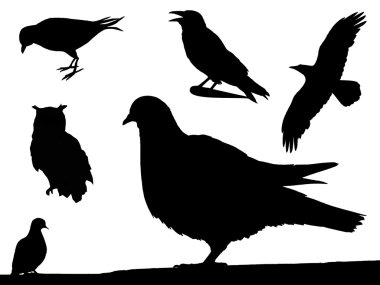 Birds sihlouettes clipart