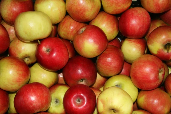 Čerstvá jablka skupina — Stock fotografie
