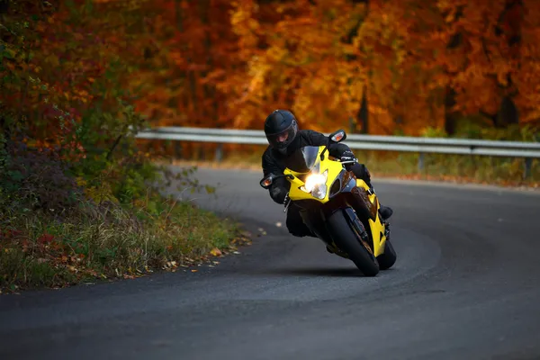Uomo in sella con speedbike in autunno Foto Stock Royalty Free
