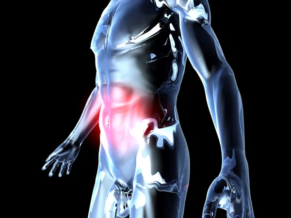 腹の痛み - 解剖学 — ストック写真