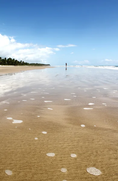 Spiaggia di Bahia — Foto Stock