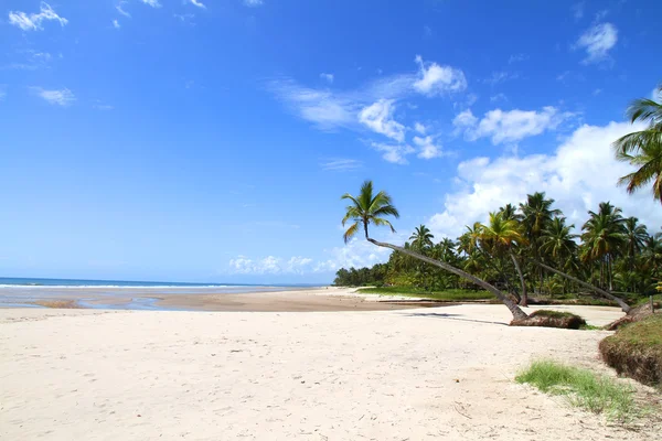 Strand von Bahia — Stockfoto