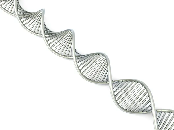 DNA Strand — Stock Photo, Image