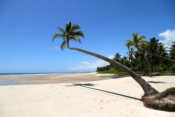 Praia da Bahia — Fotografia de Stock
