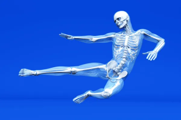 解剖学 - 総合格闘技 — ストック写真