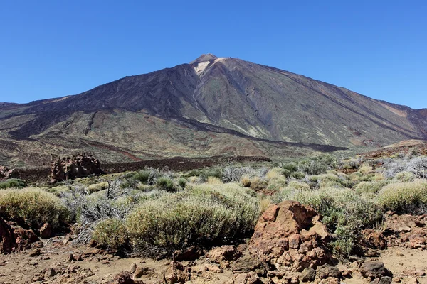 Der kegelförmige Vulkan Mount Teide — Stockfoto