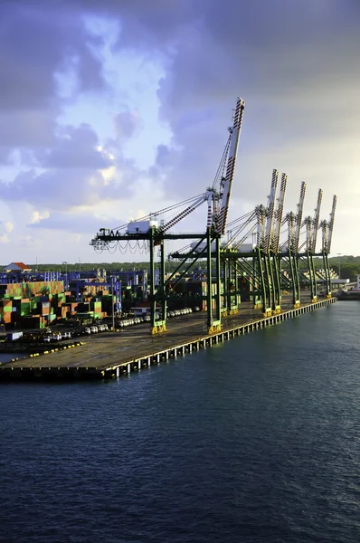 Cranes at Colon Panama — Stock Photo, Image