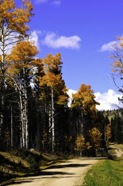 Aspens Güz