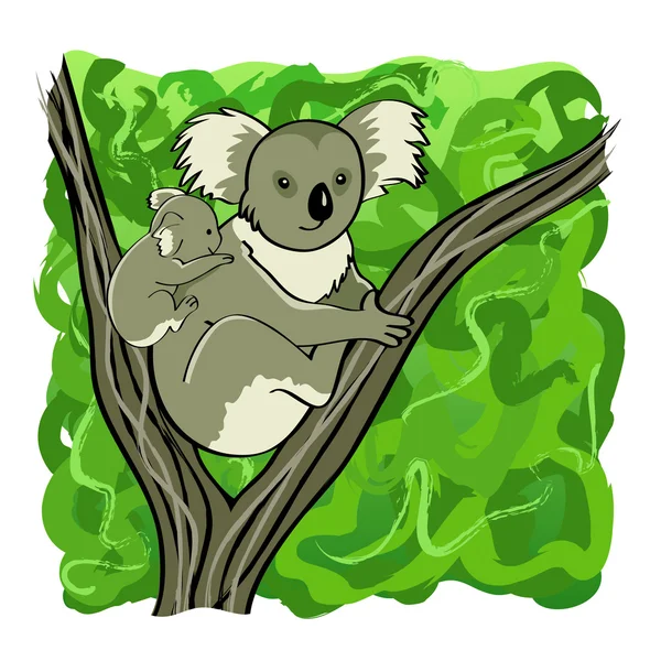 Madre Y Bebe Koala Vectores Grafico Vectorial Madre Y Bebe Koala Imagenes Vectoriales De Stock Depositphotos