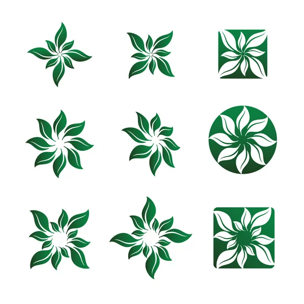 Blatt- und Blumenvektorillustrationen — Stockvektor