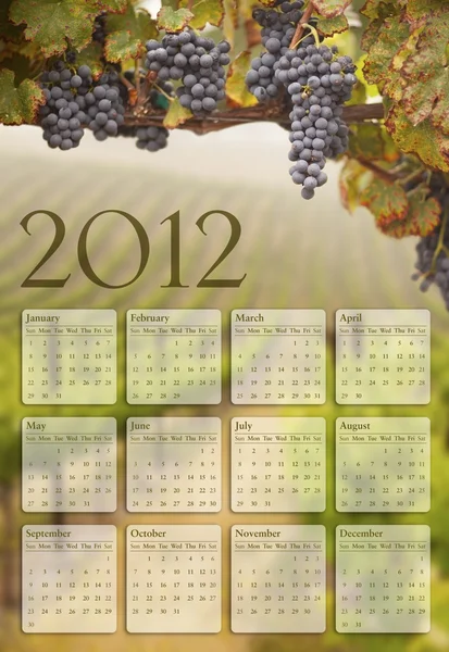 Calendário de 2012 com fundo de vinha de uva — Fotografia de Stock