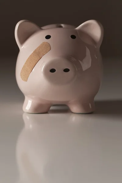 Piggy bank a kötést arc — Stock Fotó