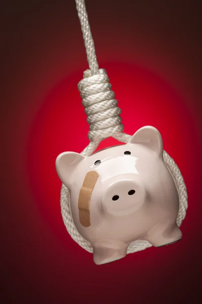 Piggy Bank with Bandage Hanging in Hangman's Noose on Red — Stock Photo, Image