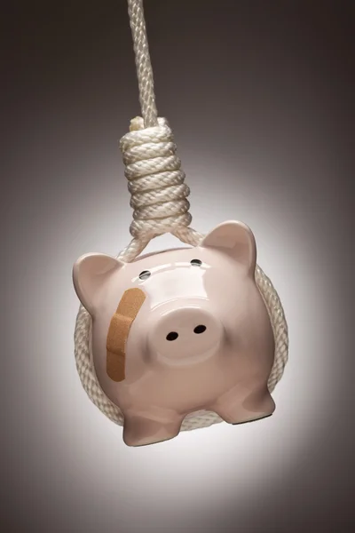 Piggy Bank met pleister opknoping in strop Hangman's — Stockfoto