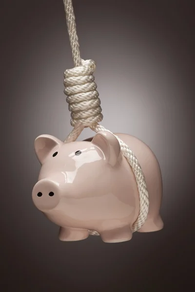 Bank Piggy tergantung di tali gantungan Hangman — Stok Foto