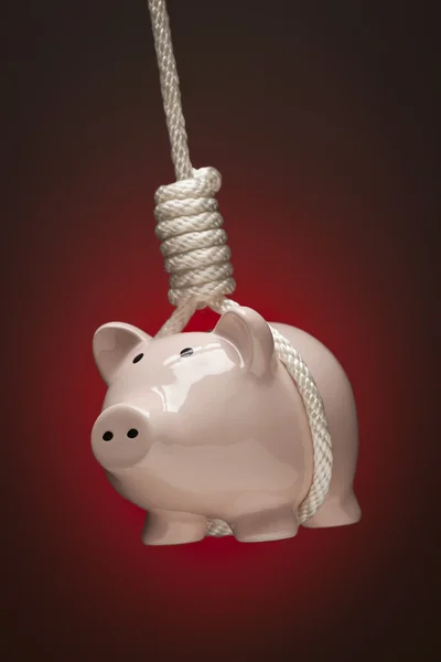 Piggy Bank Pendurado no nó do enforcado em — Fotografia de Stock