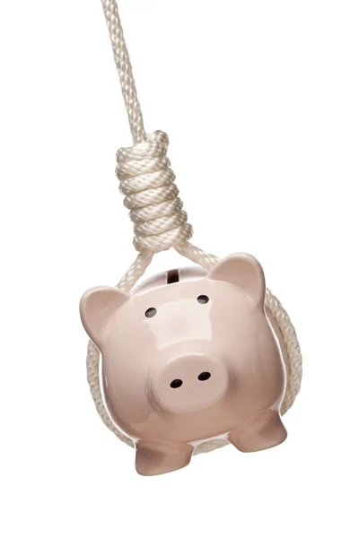 Piggy Bank Pendurado no nó do enforcado em branco — Fotografia de Stock