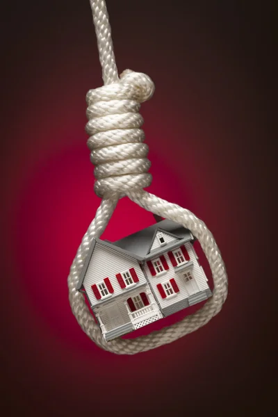 House Tied Up and Hanging in Hangman's Noose on Red — Stock Photo, Image