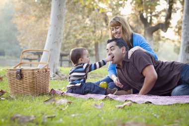 Happy Mixed Race Ethnic Family Having Picnic In The Park clipart