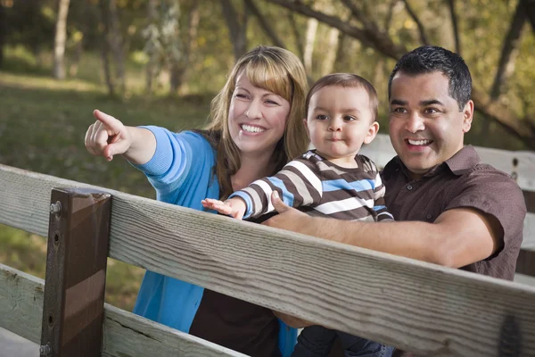 Parkta oynarken mutlu karışık ırk aile — Stok fotoğraf