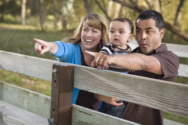 Glad blandad ras familj spelar i parken — Stockfoto