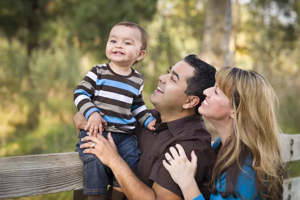 Happy Mixed Race Ethnic Family Playing In The Park — Stockfoto