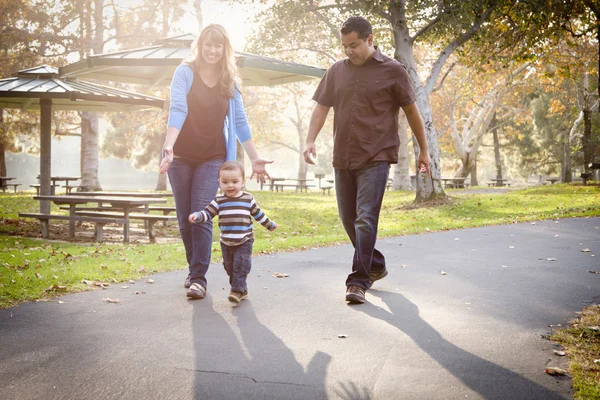 Счастливая смешанная расовая этническая семья гуляет по парку — стоковое фото