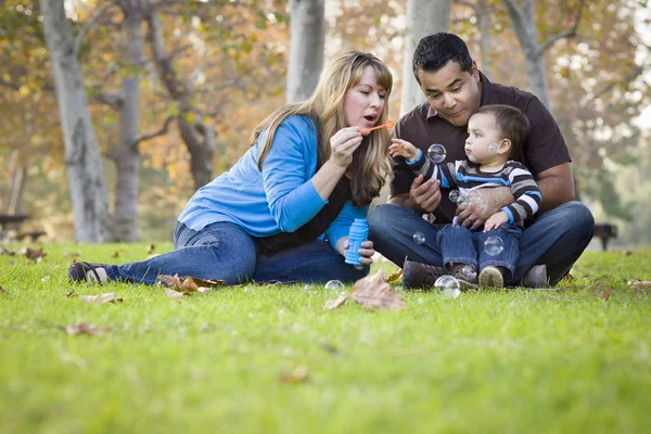 Happy Mixed Race Ethnic Family Playing with Bubbles In The Park