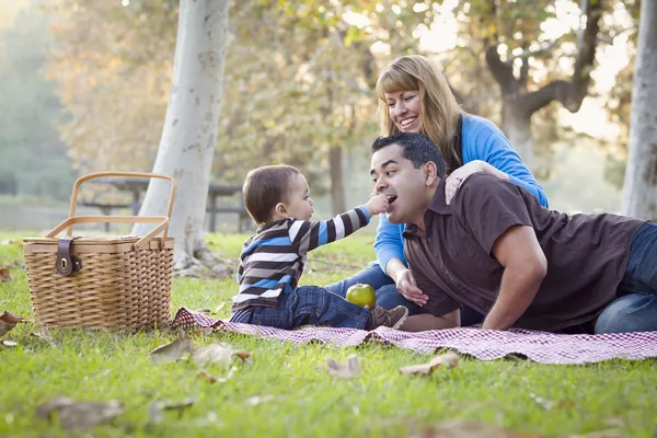 Счастливая смешанная этническая семья устраивает пикник в парке — стоковое фото