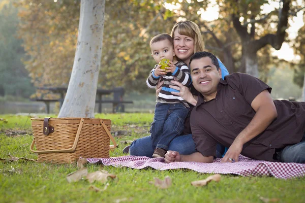 Happy Mixed Race Ethnic Family Having a Picnic In The Park — Stok fotoğraf