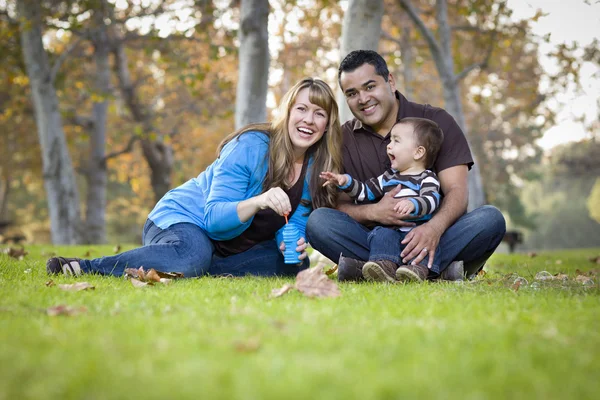 Счастливая смешанная расовая этническая семья играет с пузырьками в парке — стоковое фото