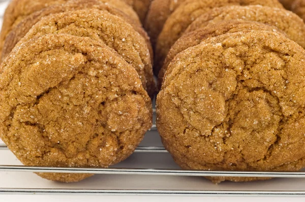 Ginger soubory cookie — Stock fotografie