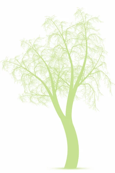 Árbol de primavera — Archivo Imágenes Vectoriales