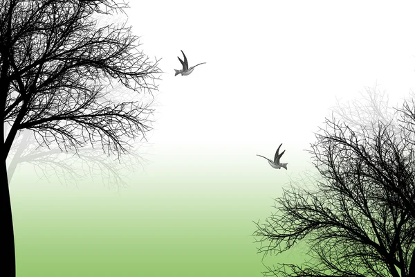 Деревья и птицы — стоковый вектор
